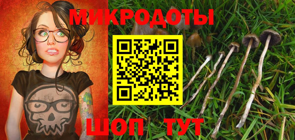Гусиноозёрск  Галлюциногенные грибы мухоморы  Вход с VPN  Псилоцибиновые грибы ЛСД 